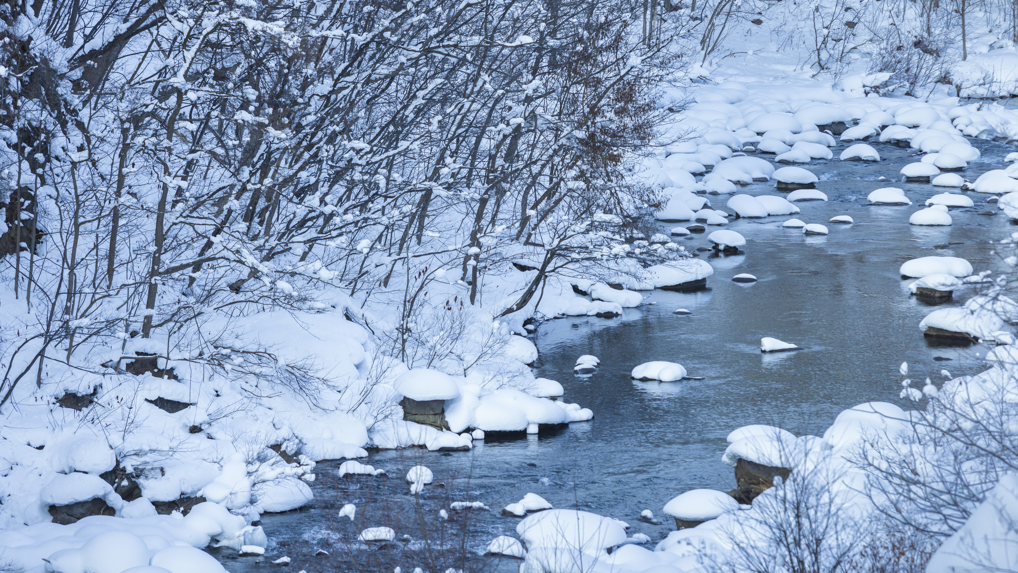 水墨画のような、静謐な世界が広がる冬