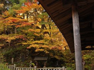 五台橋と紅葉