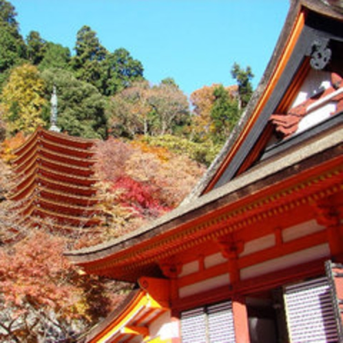 【観光】談山神社（たんざんじんじゃ）紅葉