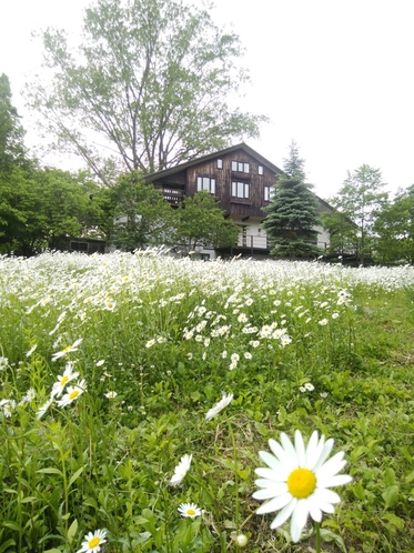 夏の外観　2019年6月