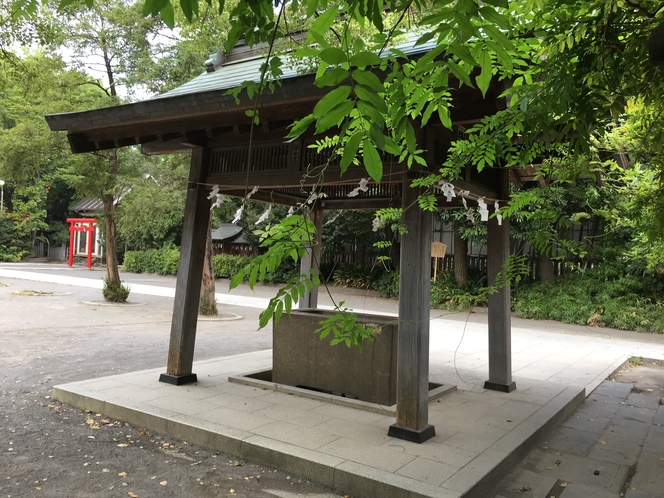 稲毛神社　手水舎