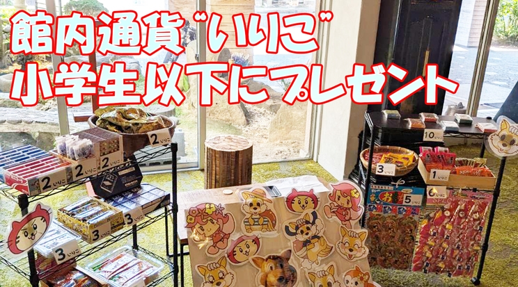 【テーマパークチケット付き】【素泊り】いっぱい遊んでおとくにステイ〜一泊素泊まり〜