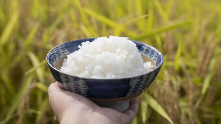 お米は白神山地の天然水で炊き上げた県内産あきたこまち100％！