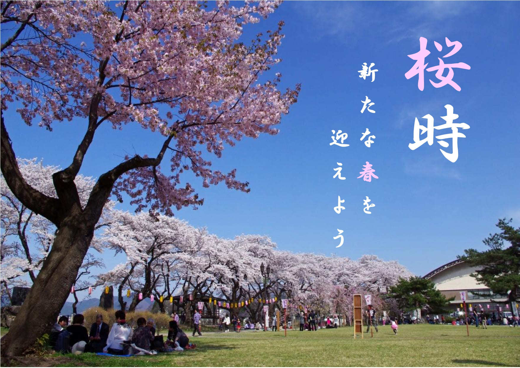写真4