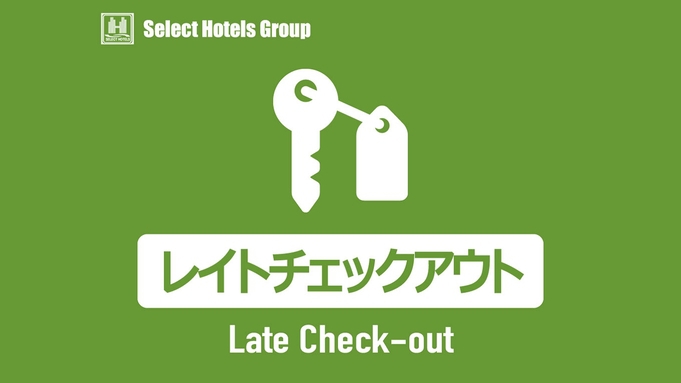 【11時チェックアウトでのんびり♪】レイトアウトプラン（素泊り）天然温泉・駐車無料