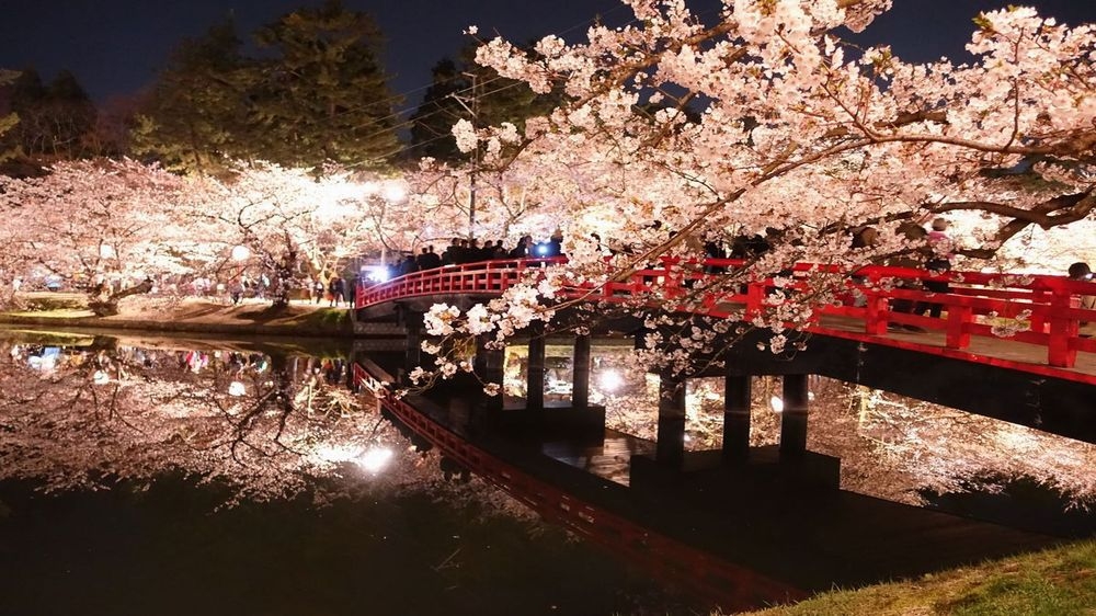【桜祭り期間限定特割】10％OFF≪朝食付≫みちのく三大桜名所『弘前公園・角館武家屋敷・北上展勝地』