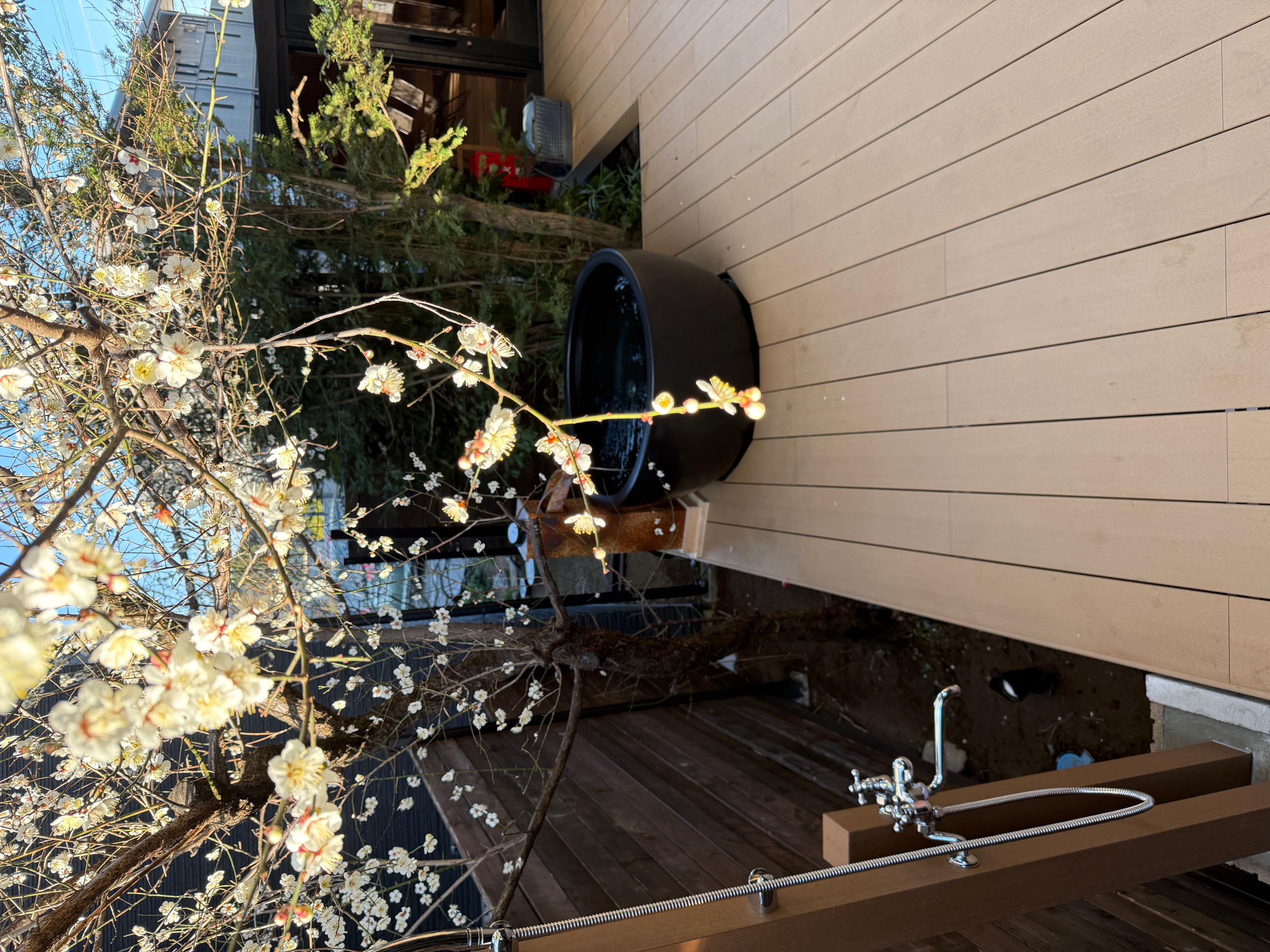 サウナ　水風呂