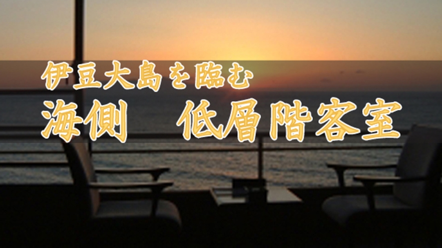 伊豆大島を正面に臨む　高層階客室　お部屋食が大人気！