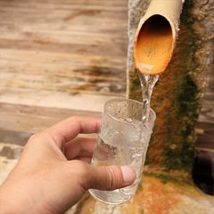 豊富な湯と“ゆの花”が特徴の炭酸泉(女性浴場)