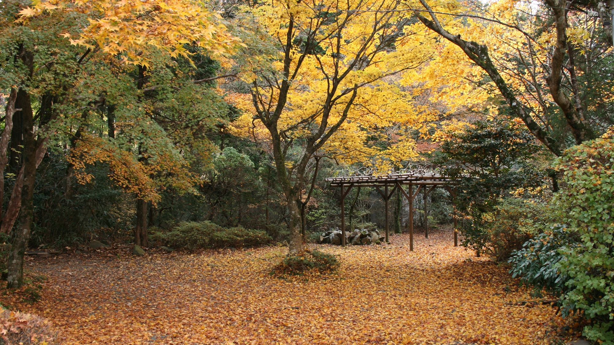 風景