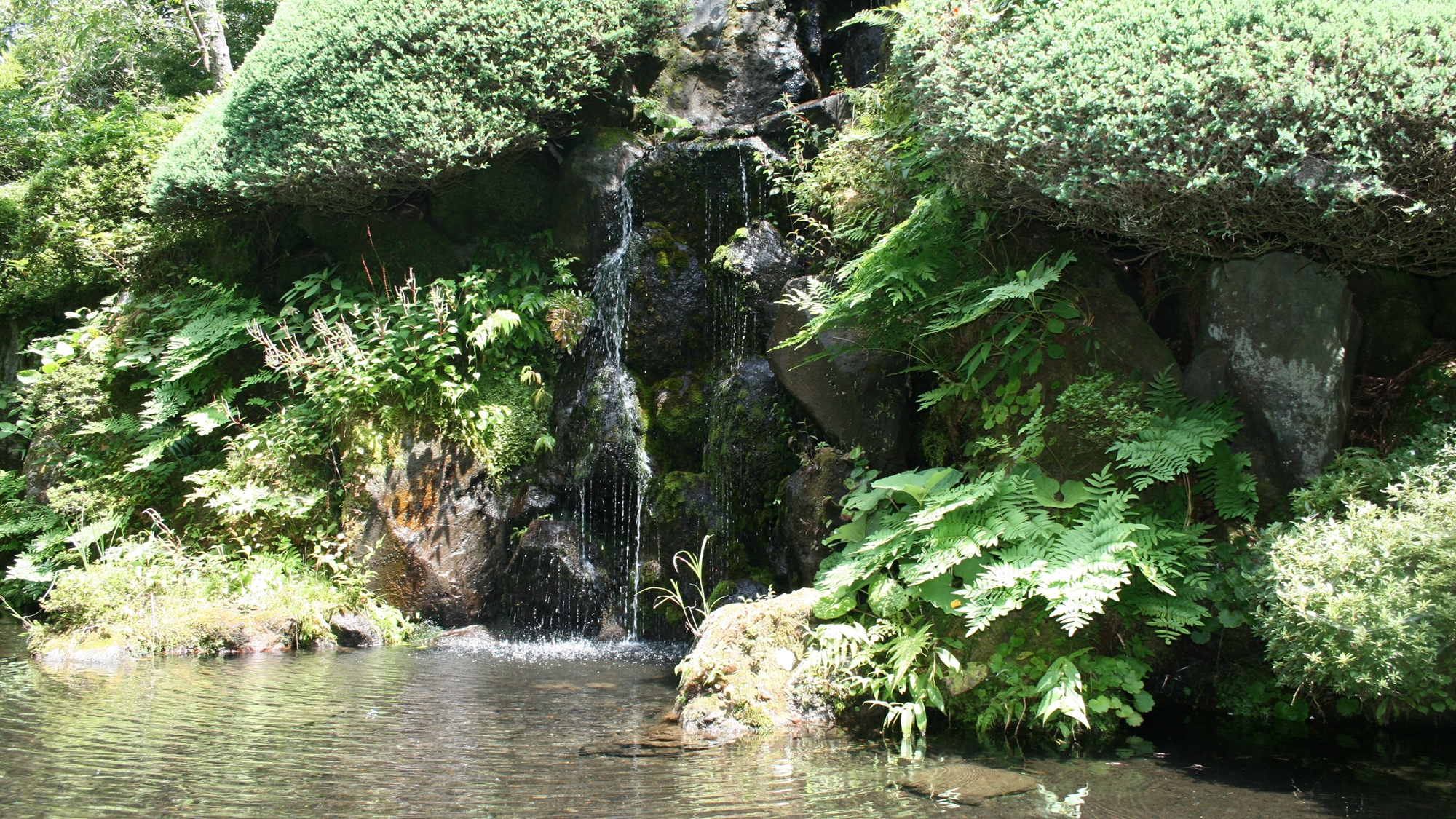 風景