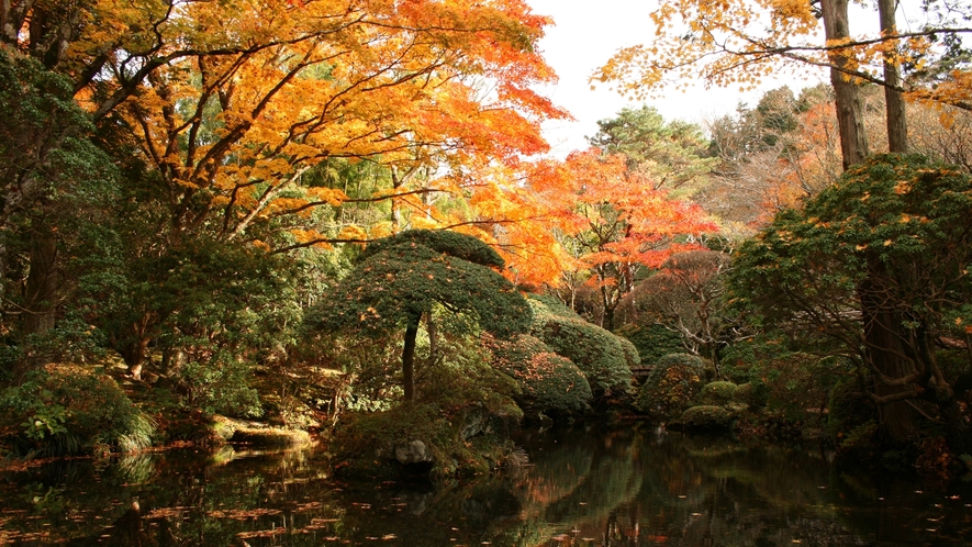 風景