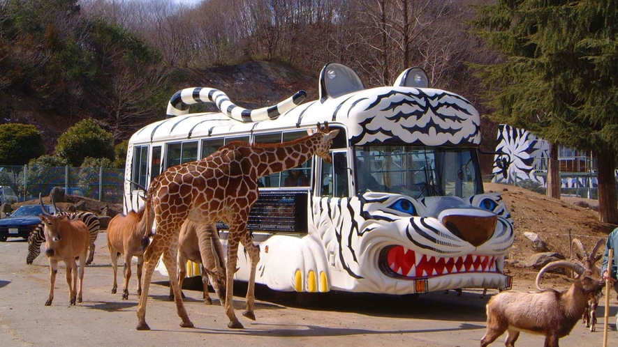 野生の王国　群馬サファリパーク