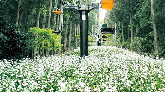 賤ヶ岳リフト