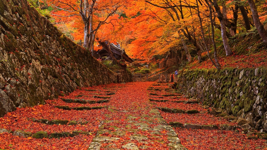 百濟寺　Photo:（公社）びわこビジターズビューロー