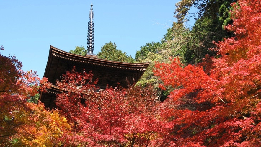 金剛輪寺