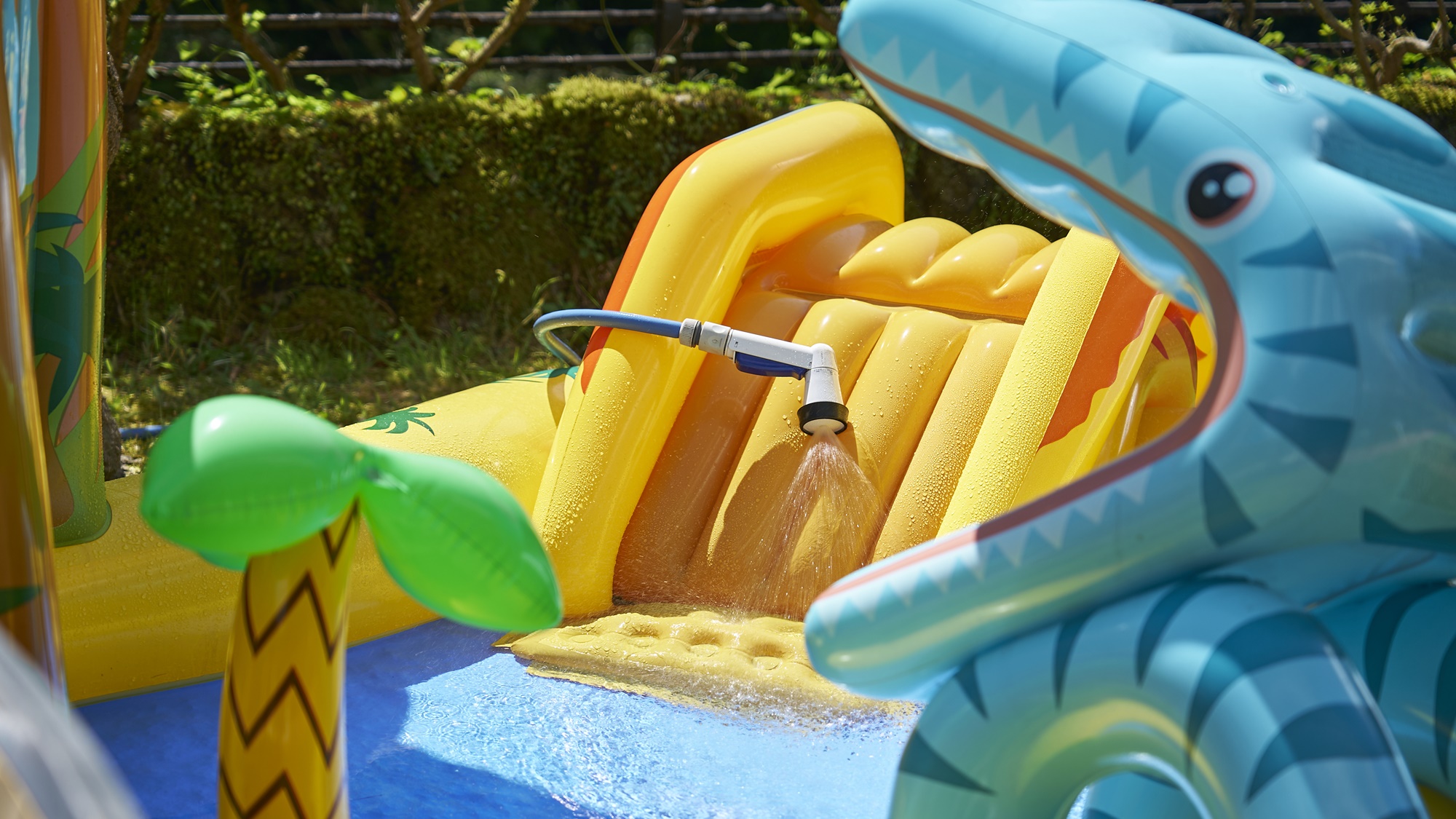 季節ごとのイベント