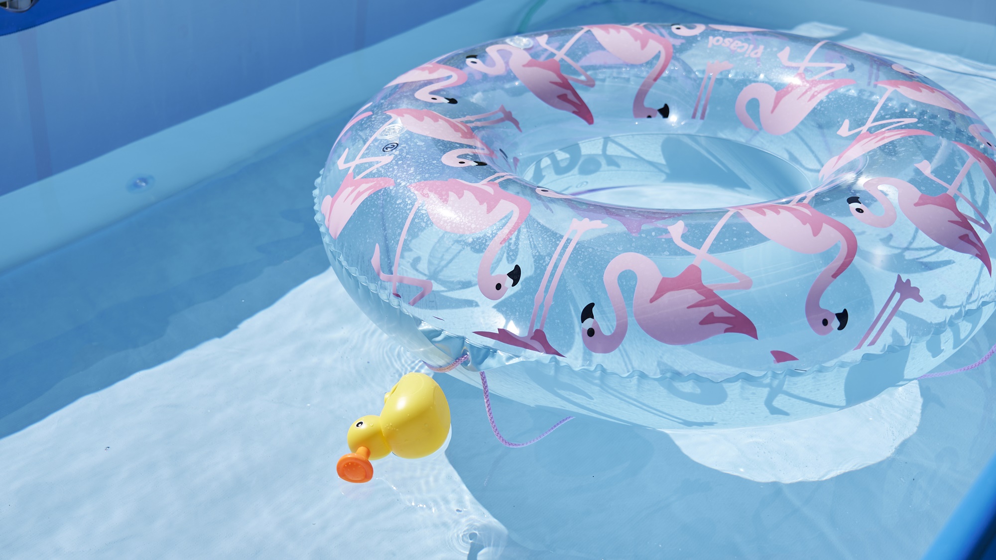 季節ごとのイベント