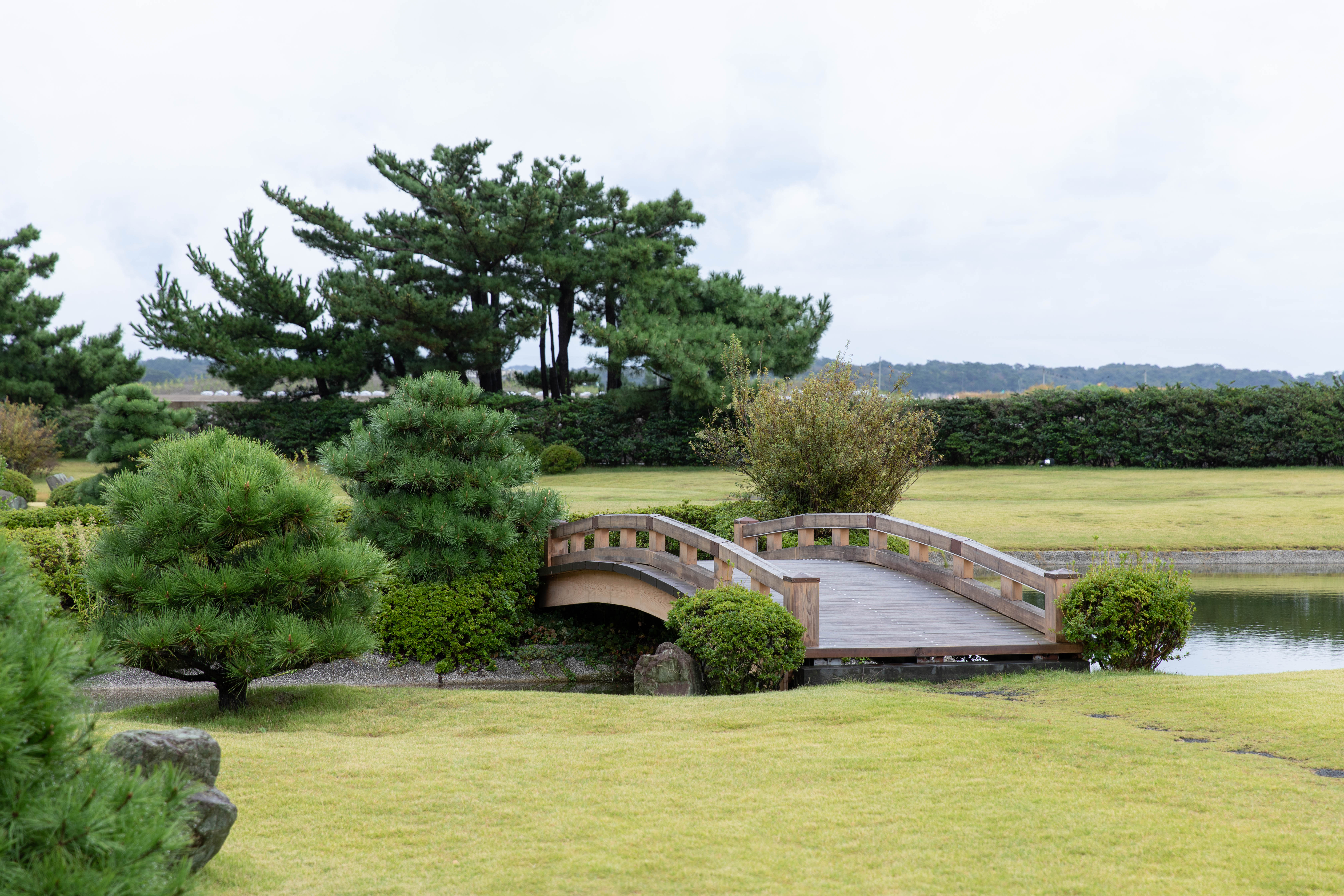 【水上庭園】