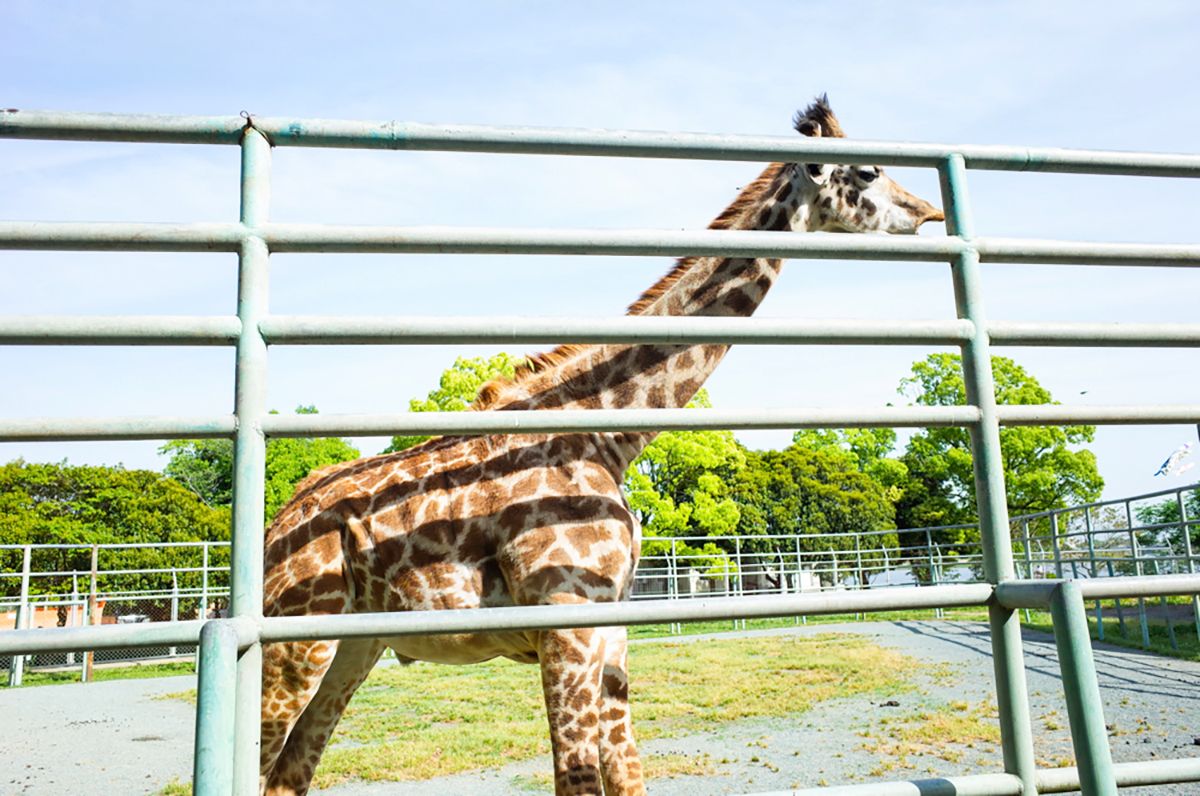 ホテルオークス＜熊本県＞ - 写真 99