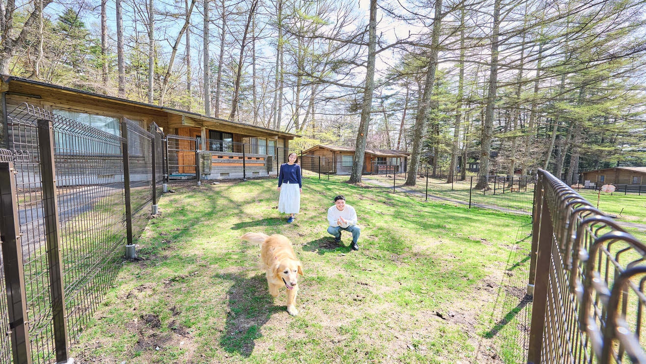 【早割60】室料のみ（ドッグコテージ）