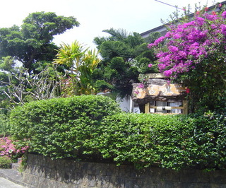 民宿山水