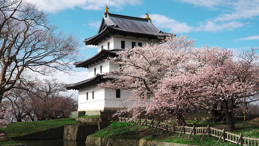 満開の桜に囲まれた松前城