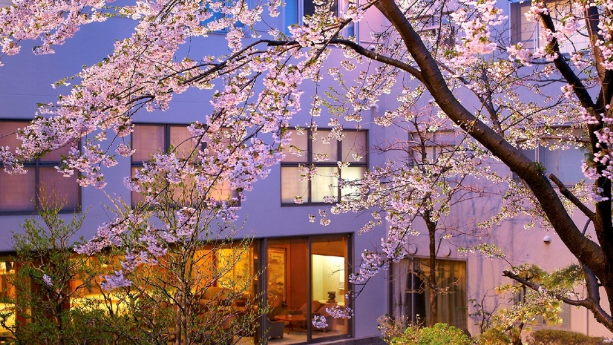 花びしホテル「中庭」満開の桜がお迎えします