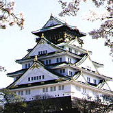 【学割】みんなで一緒に素敵な思い出を！