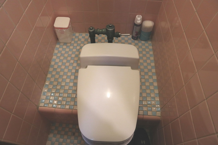 客室トイレの一例