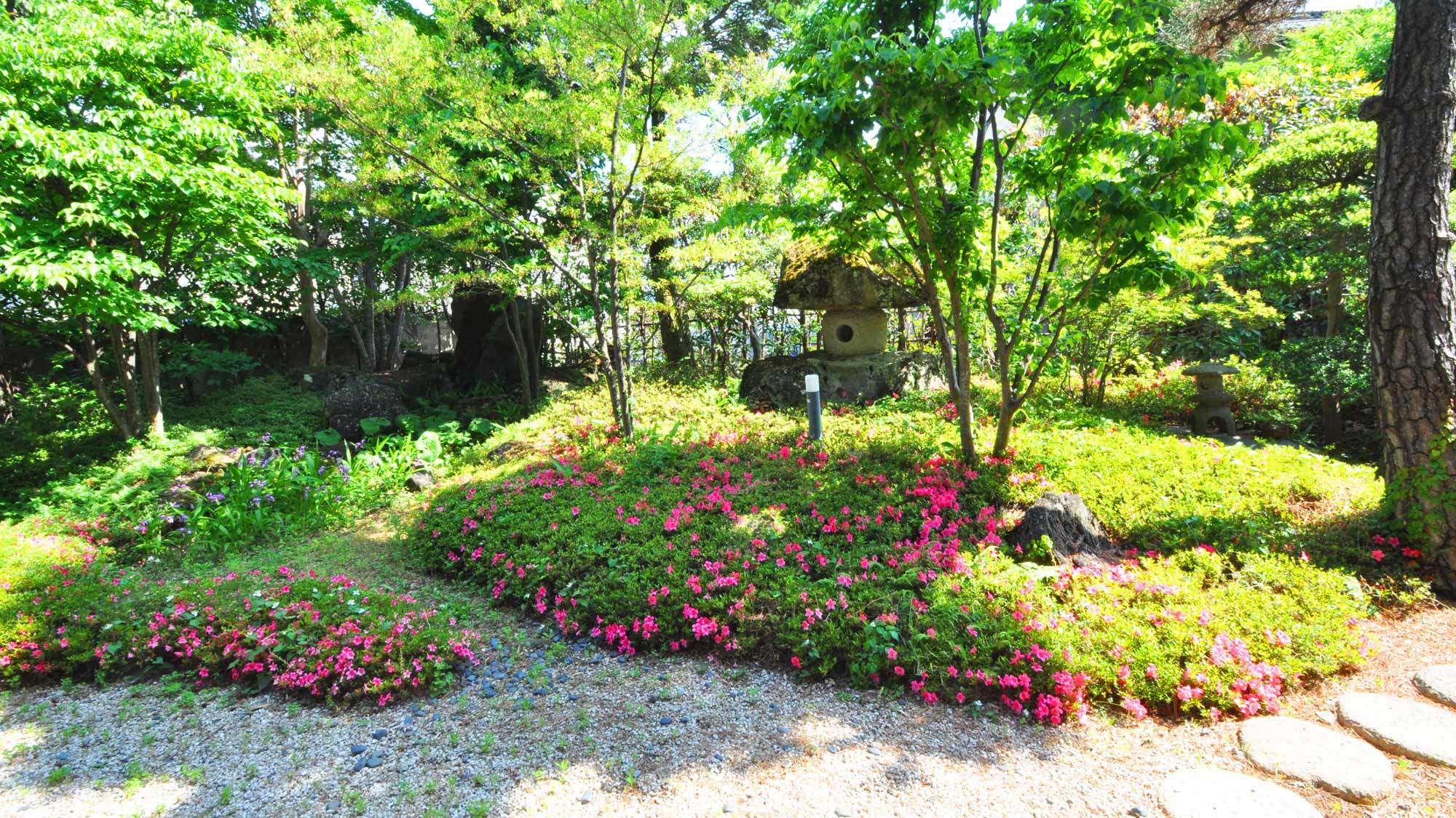 【和室10畳】1階のお部屋。庭園ビューを目の前でお楽しみください。