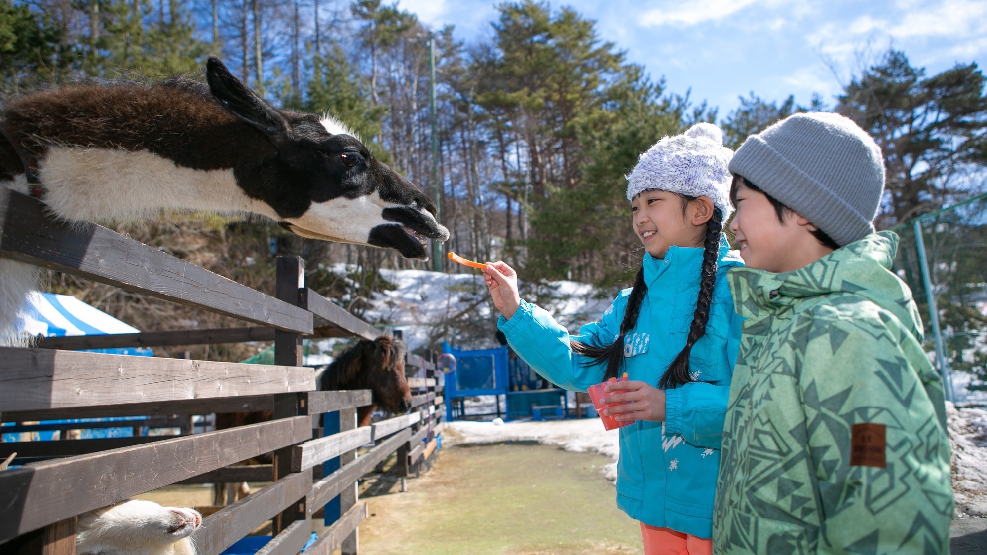 【自由に選べる特典付き】ウィンターファイブパック