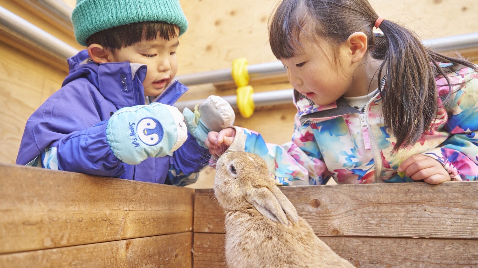 【幼児無料】冬遊びキッズプラン