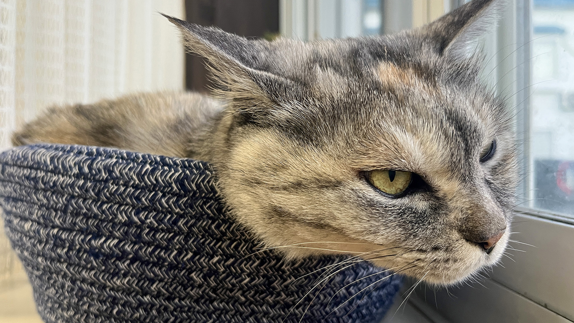 #今日もお客様をお出迎え♪