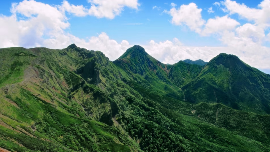 【早朝出発のお客様へ】登山・観光などアクティブなご旅行に《夕食ビュッフェ＆朝食おにぎり付き》