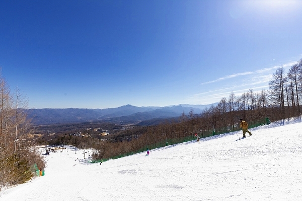 シャトレーゼリゾート八ヶ岳スキー場　リフト券《夕朝食付き》