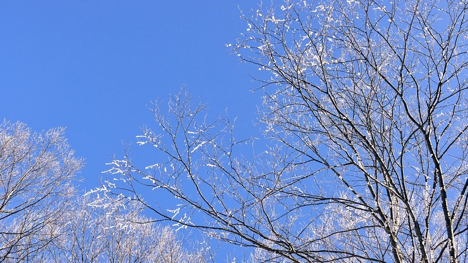 【冬のスタンダードプラン】スキー＆バイキングで冬満喫☆遊んで食べて大満足【1泊2食付】