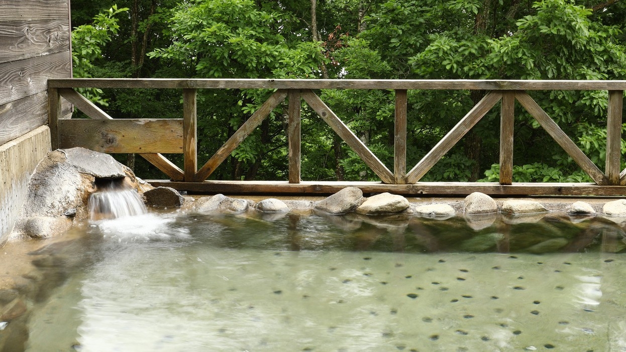 【１泊２食付】斑尾高原の温泉と自然を満喫するスタンダードプラン