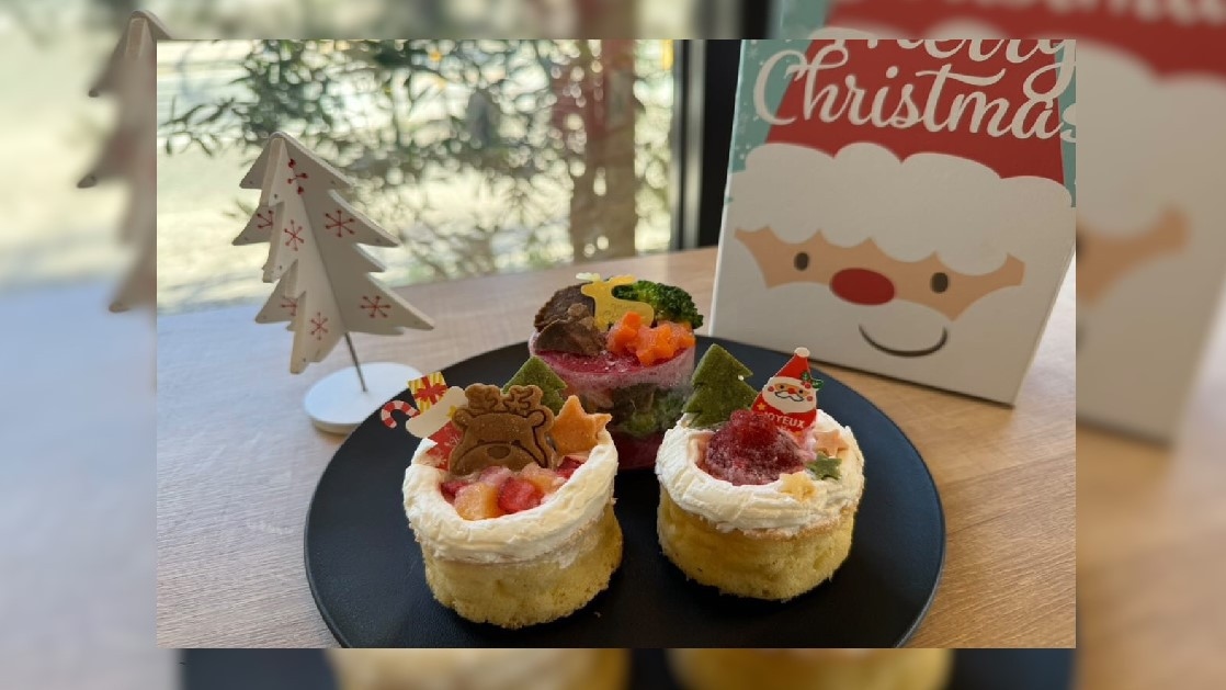 【ペットと一緒に♪ご宿泊プラン】わんちゃん用クリスマスプレゼント付！お日にち限定プラン◆1泊2食付◆