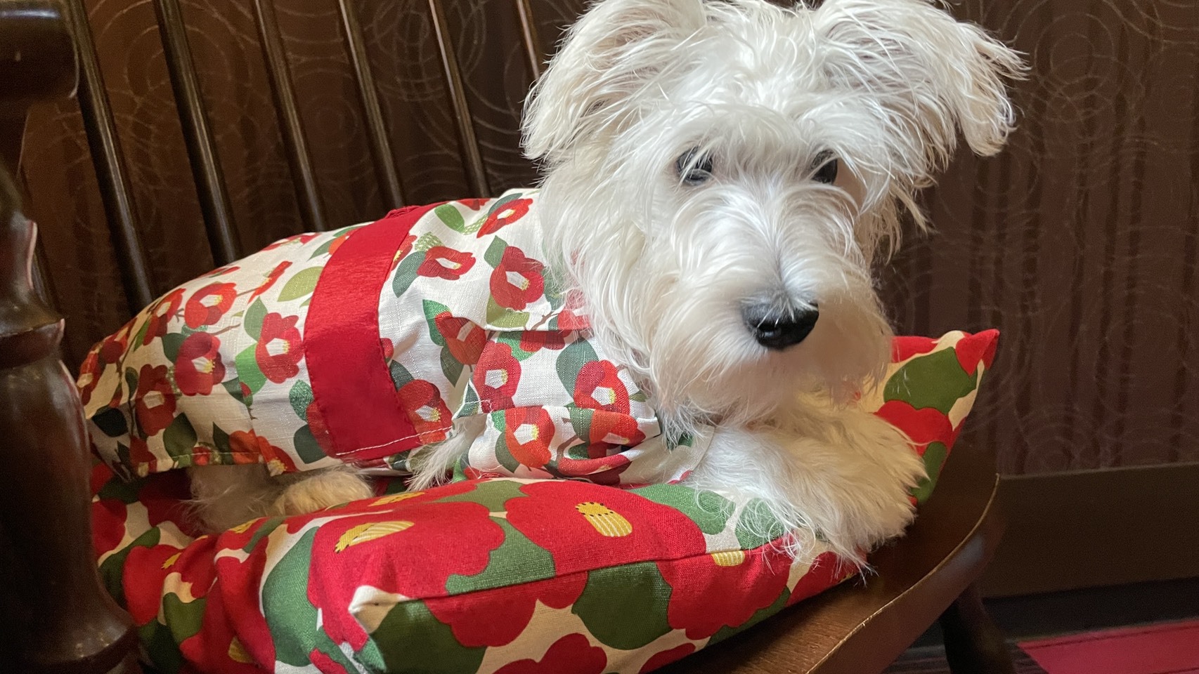 【ＧＷ★お盆★SW】【ペットと一緒に♪ご宿泊◆専用フロア◆】スタンダード◆1泊2食付◆