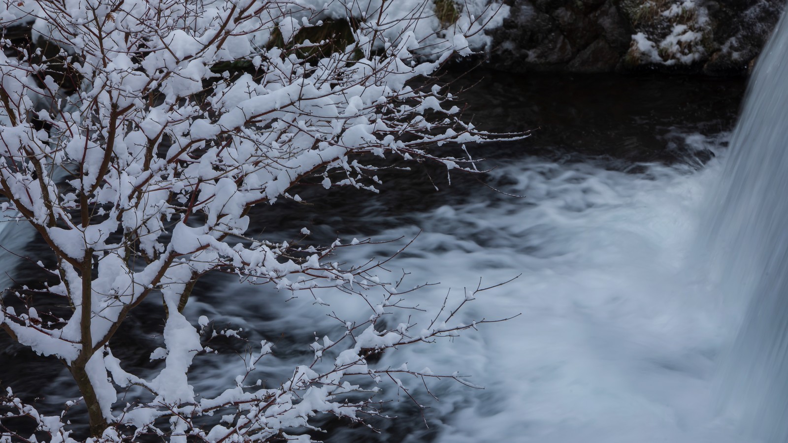 【早朝出発のお客様へ】夕食のみ宿泊プラン◇登山・観光などアクティブなご旅行に