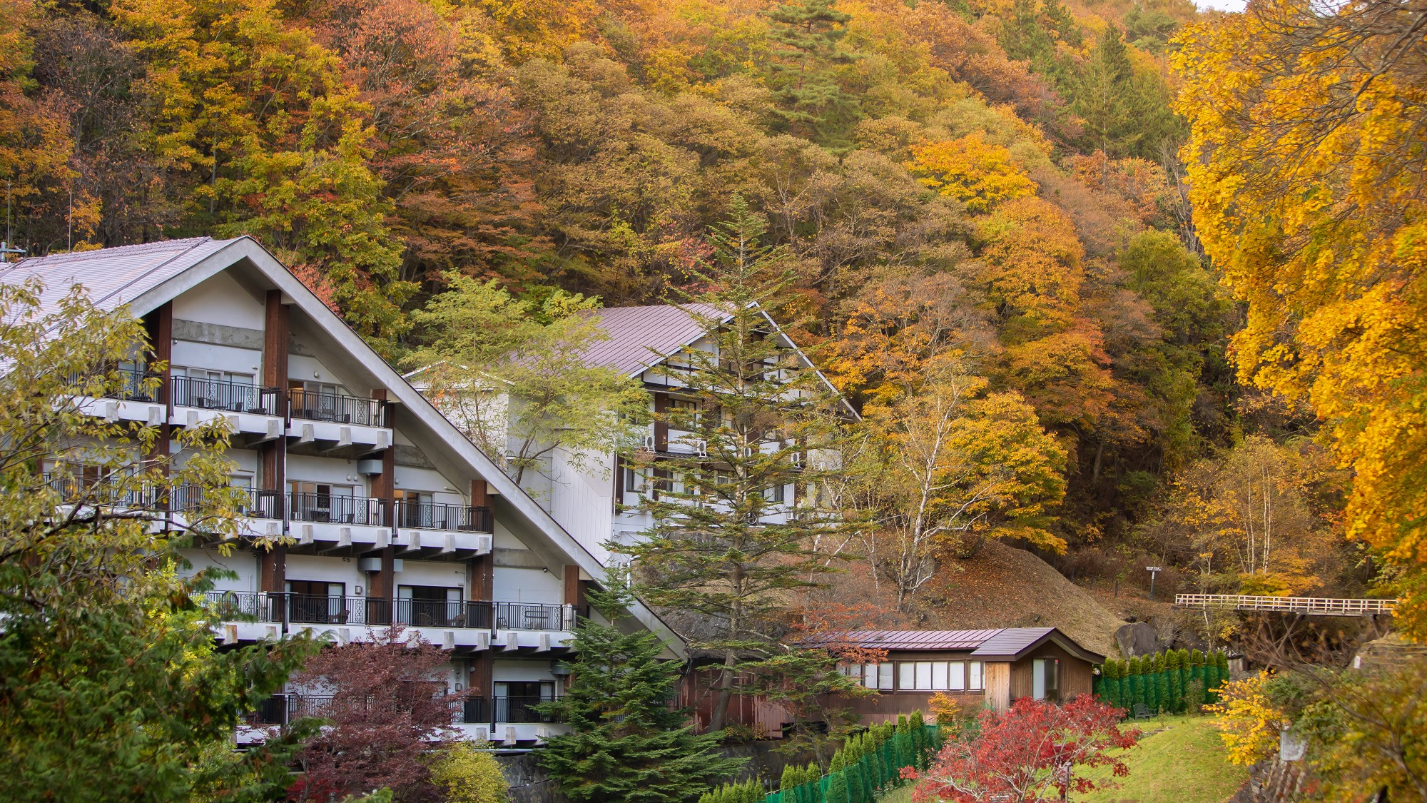 外観◆毎年蓼科温泉ホテル親湯周辺の紅葉はとても綺麗です。