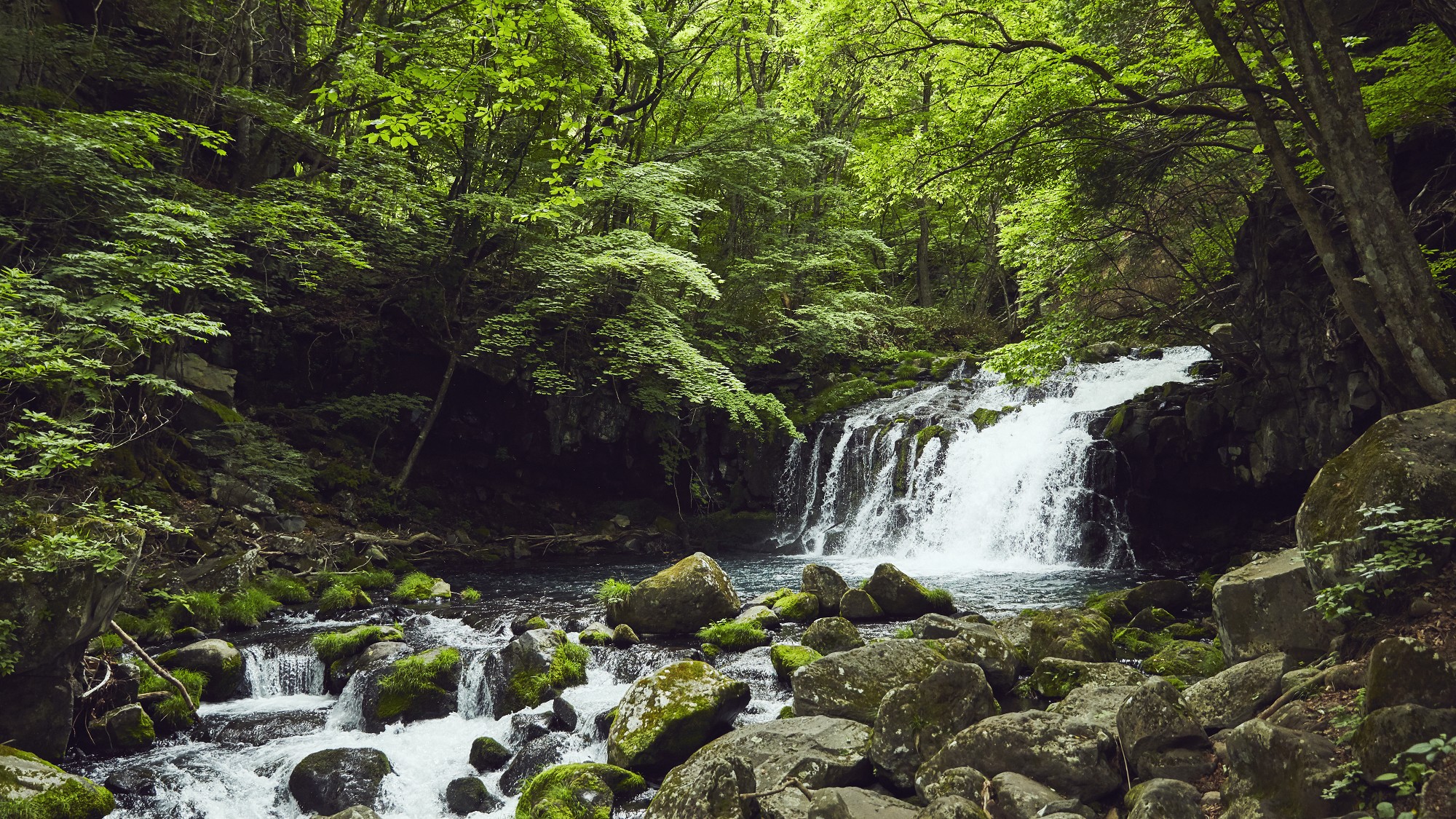 蓼科大滝遊歩道◆季節毎風景を変える渓谷と渓流、絵葉書のような美しさ
