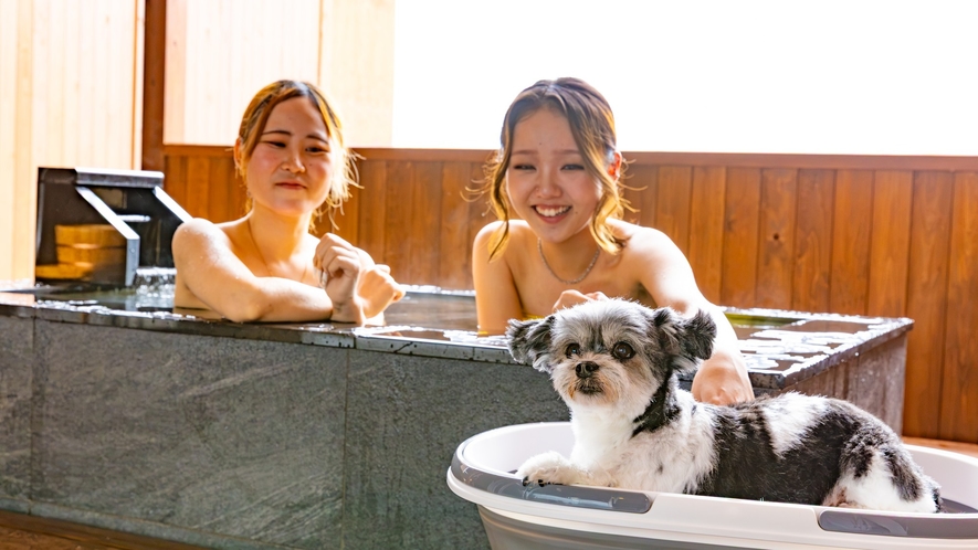 ワンちゃん専用客室 露天風呂利用風景