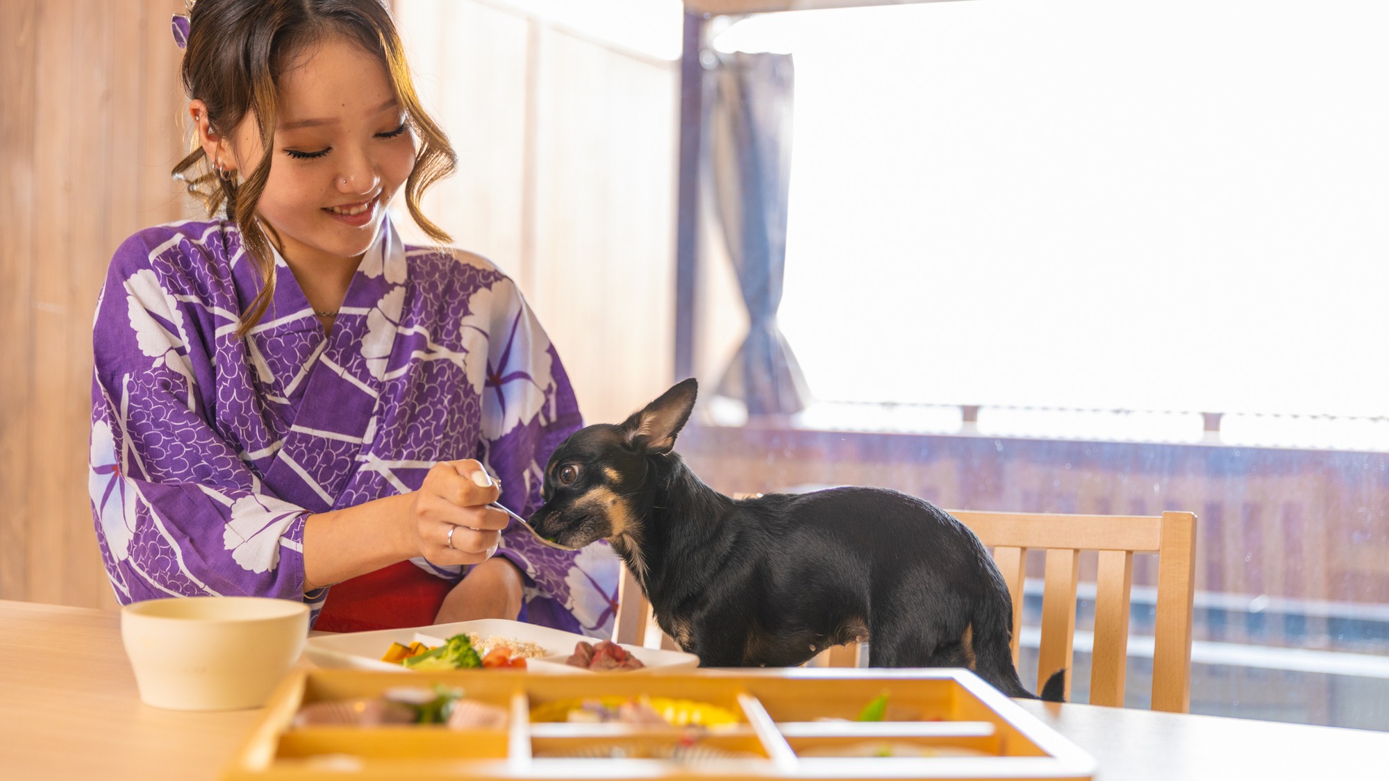 ワンちゃん専用客室 食事風景