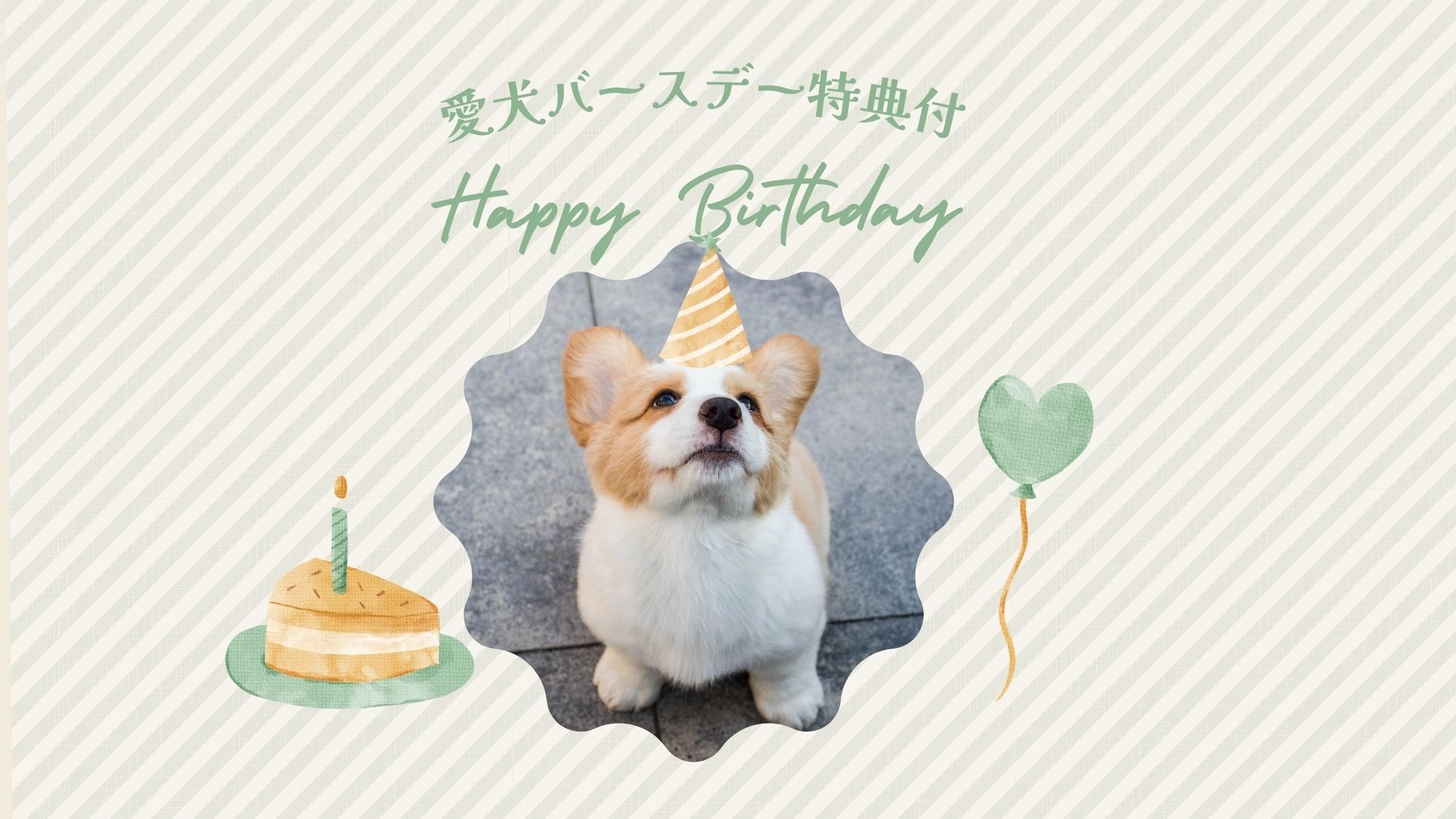 【愛犬バースデー特典付】素泊まりプラン★イチゴロールケーキをプレゼント！リビングテラス・新型露天