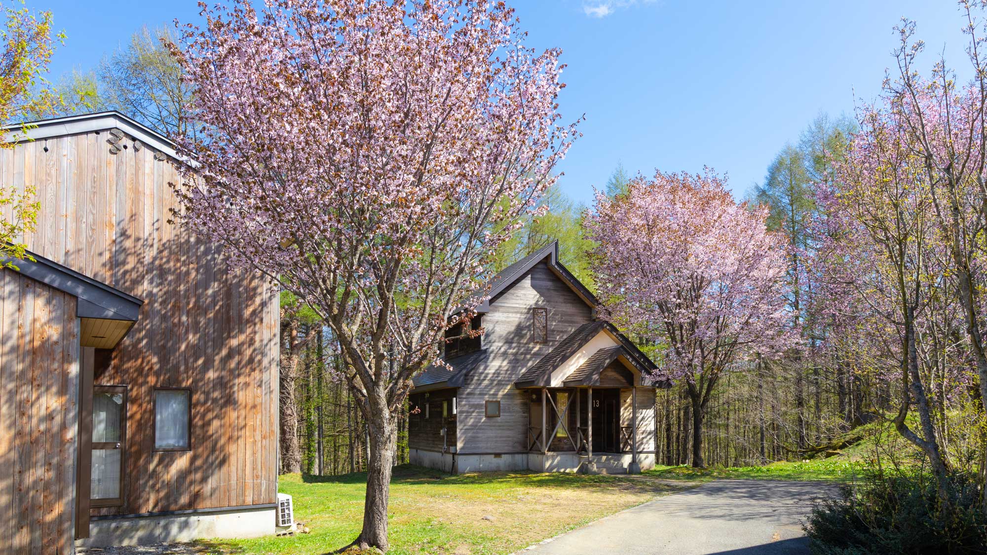 新型露天風呂戸建てタイプ2LDKの外観：桜見頃時期の景観