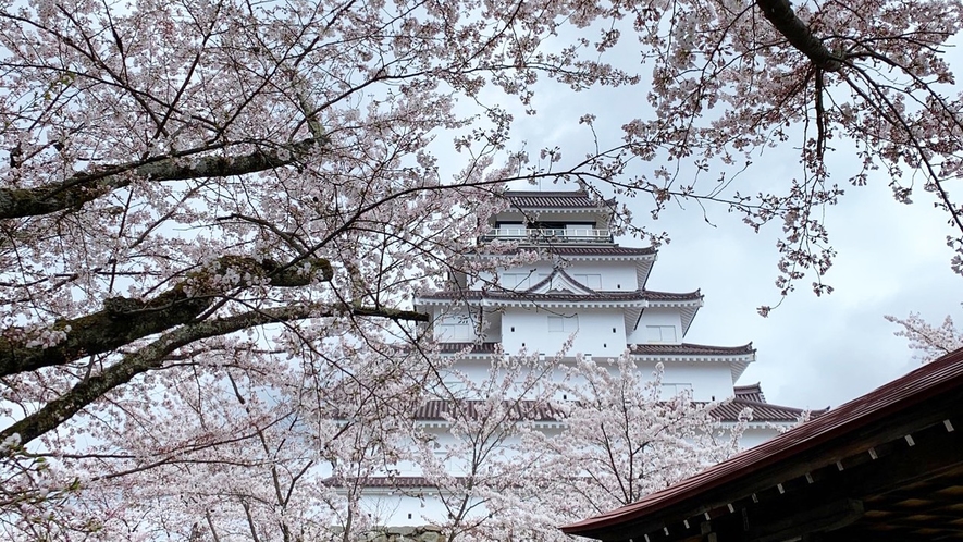 桜と鶴ヶ城