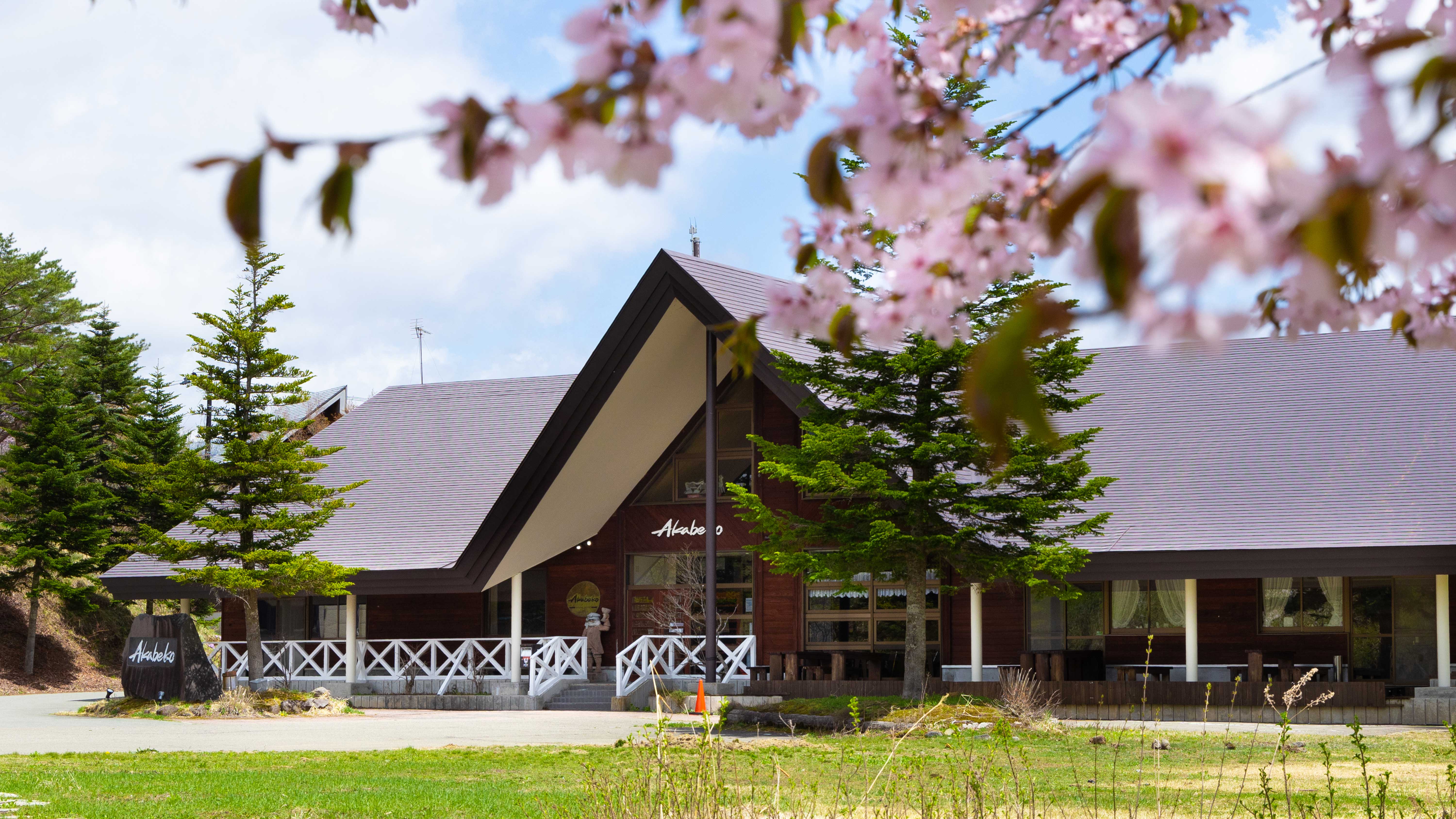 センターハウス：桜見頃時期の景観