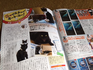 ９月１５日号に掲載　全国誌のＦＬＡＳＨに当館の猫ンパニオンプラン紹介されました。